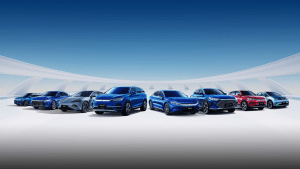 Renting Byd