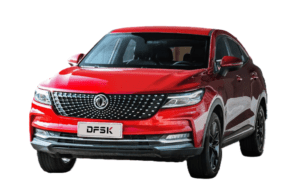 Renting Dfsk